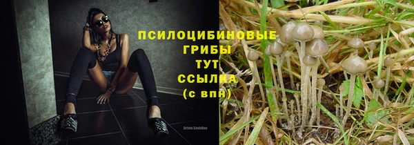 трава Белоозёрский